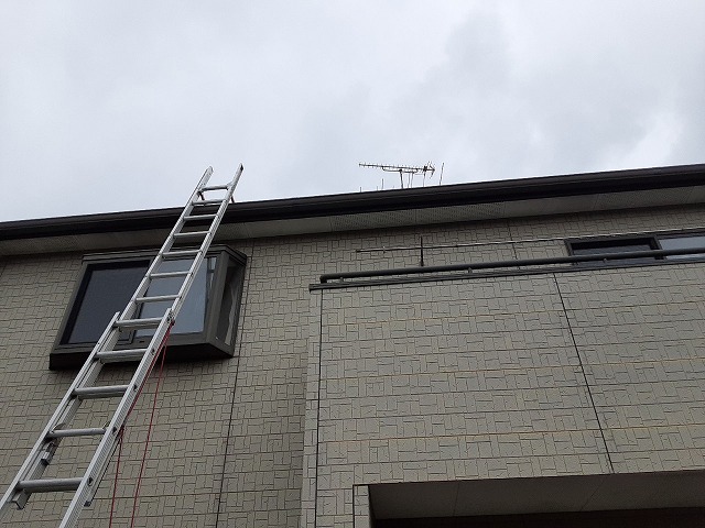 屋根に梯子を掛けて調査します